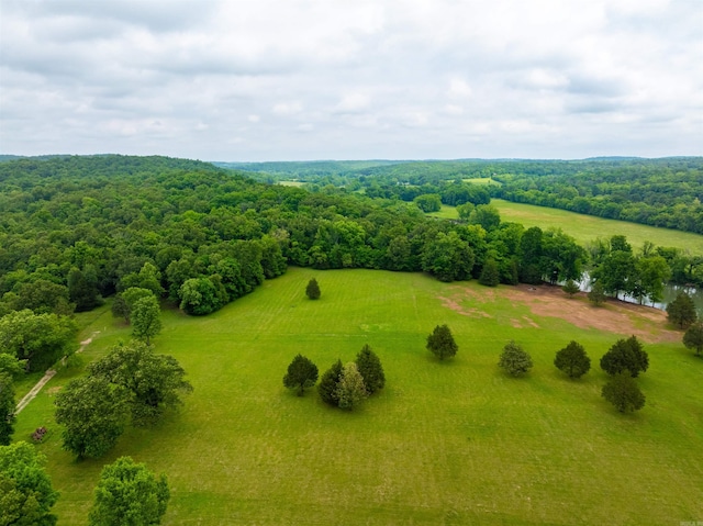 169 Spring Ave, Hardy, AR 72542