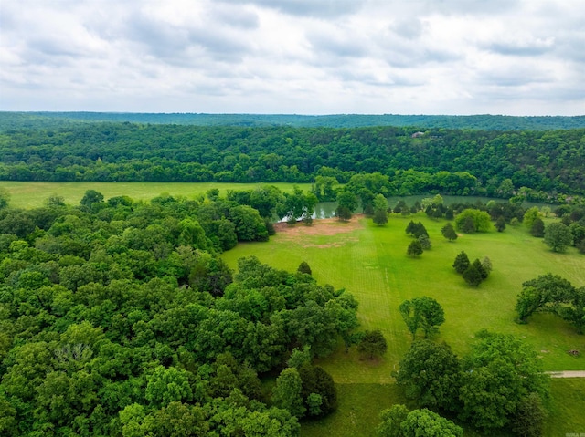 169 Spring Ave, Hardy, AR 72542