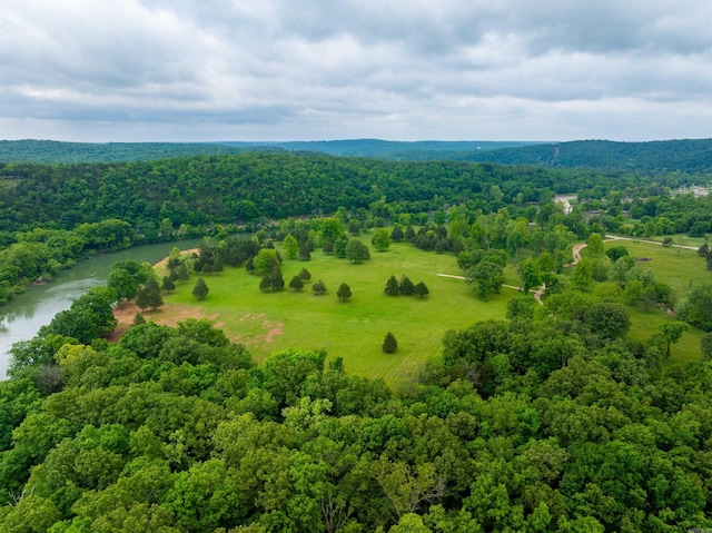 169 Spring Ave, Hardy, AR 72542