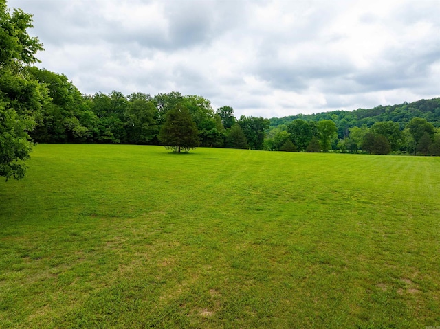 169 Spring Ave, Hardy, AR 72542