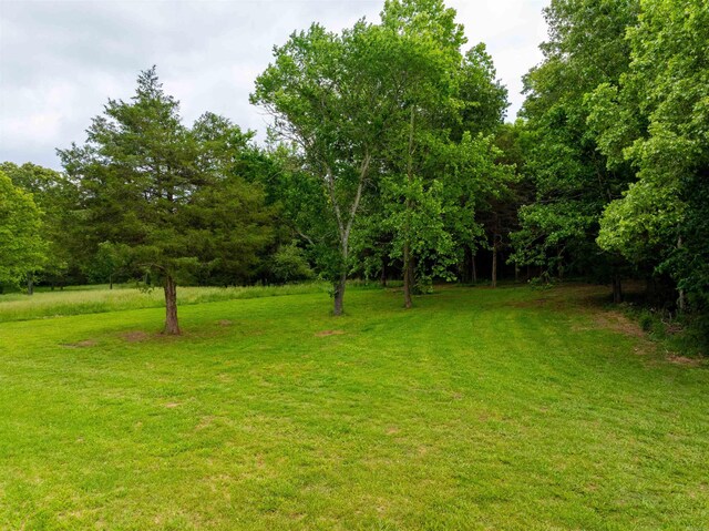 169 Spring Ave, Hardy, AR 72542