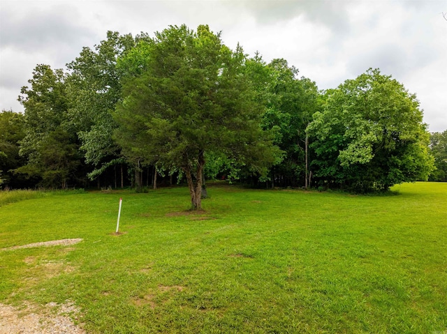 169 Spring Ave, Hardy, AR 72542