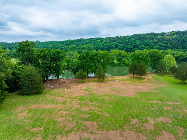 169 Spring Ave, Hardy, AR 72542