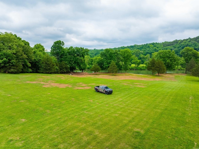 169 Spring Ave, Hardy, AR 72542