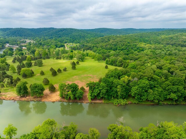 169 Spring Ave, Hardy, AR 72542