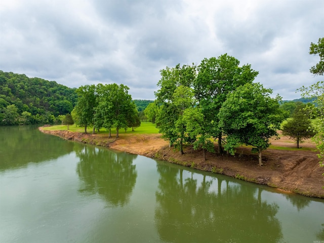 169 Spring Ave, Hardy, AR 72542