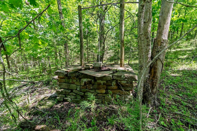 10836 Bray Rd, Elkins, AR 72727 - view of woods