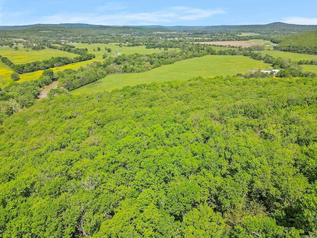 10836 Bray Rd, Elkins, AR 72727 - bird's eye view of a heavily wooded area
