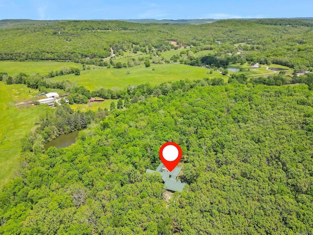 10836 Bray Rd, Elkins, AR 72727 - aerial view of a forest and a large body of water