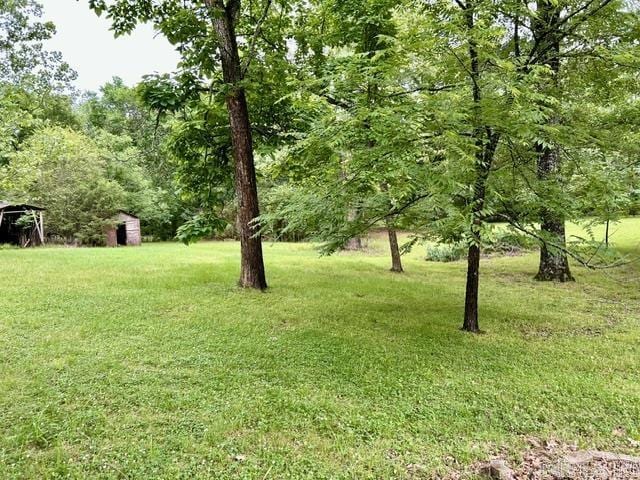 4109 Garrison Rd, Little Rock, AR 72223 - view of green lawn
