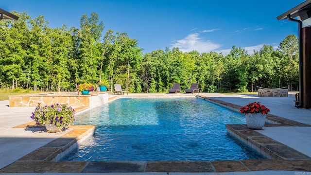 2995 Cresthaven St, Conway, AR 72034 - swimming pool with a patio area