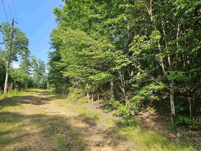 LOT20UKN April Ln, Wickes, AR 71973