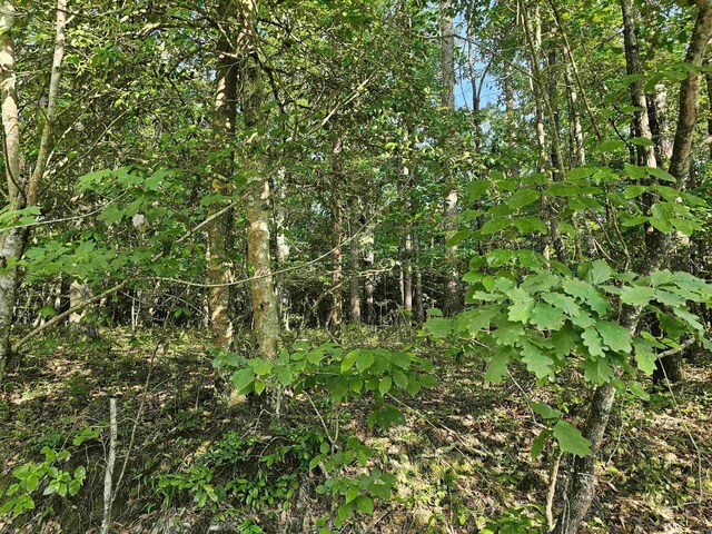 LOT20UKN April Ln, Wickes, AR 71973
