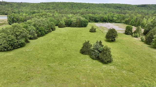 1005 Georgia Ridge Rd, Searcy, AR 72143 - drone / aerial view of a heavily wooded area
