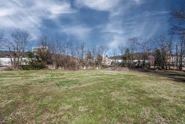 TBD Gulpha St, Hot Springs, AR 71901