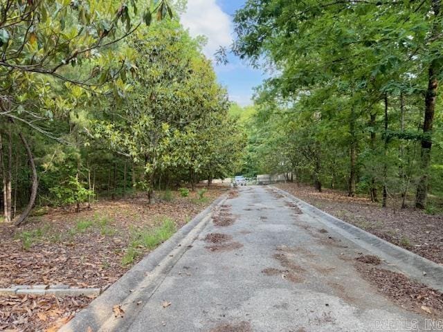 view of road with curbs and a forest view