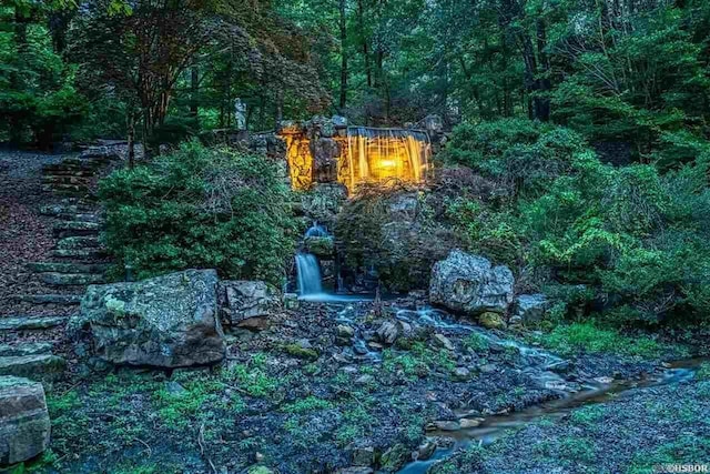 exterior view of a forest