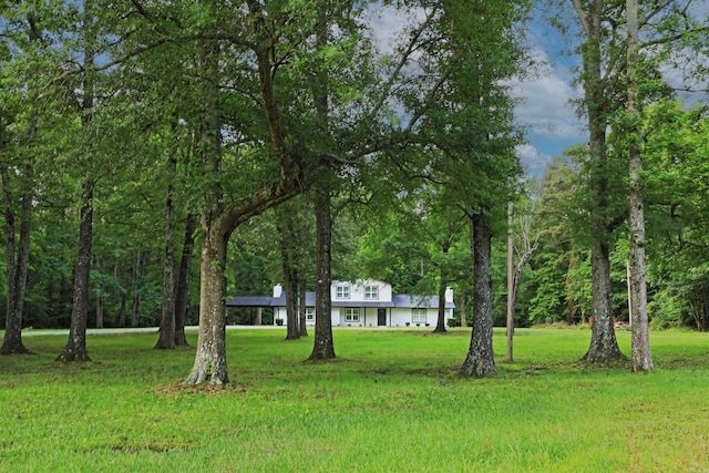 904 W Holland, White Hall, AR 71602 - view of green lawn featuring a carport