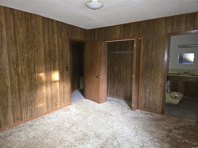 85 Bailey Rd, Morrilton, AR 72110 - unfurnished bedroom with wood walls, carpet floors, a closet, a textured ceiling, and a sink