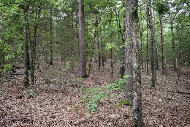 10355 Rodeo Rd, Belleville, AR 72824 - view of wooded area