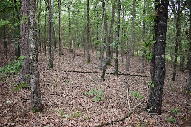 10355 Rodeo Rd, Belleville, AR 72824 - view of wooded area