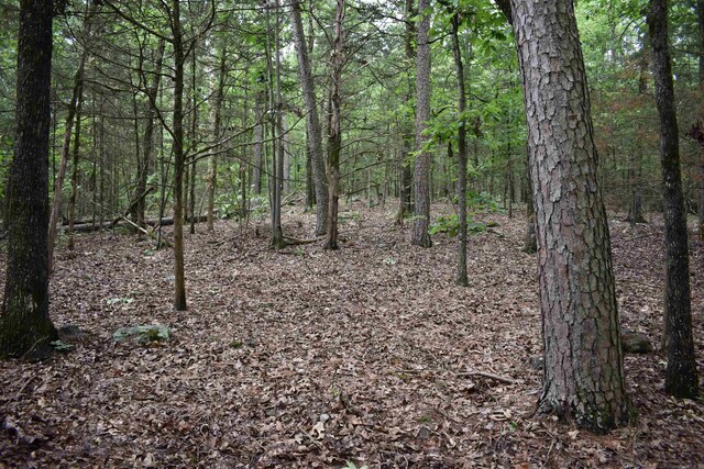 10355 Rodeo Rd, Belleville, AR 72824 - view of wooded area
