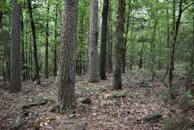 10355 Rodeo Rd, Belleville, AR 72824 - view of tree filled area