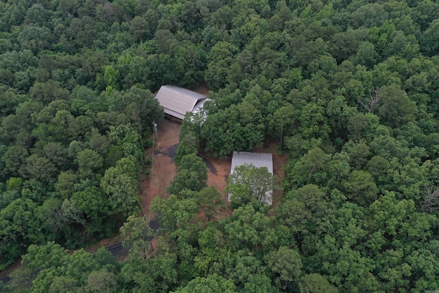 10355 Rodeo Rd, Belleville, AR 72824 - view of subject property featuring a forest