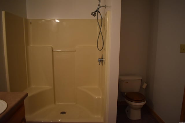 10355 Rodeo Rd, Belleville, AR 72824 - bathroom with vanity, a shower, and toilet