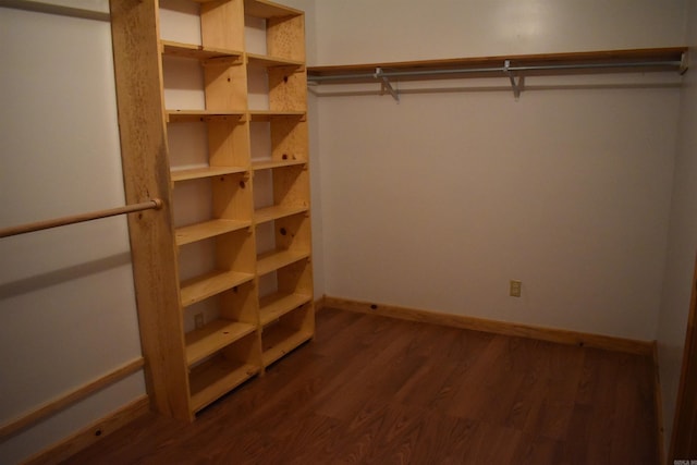 10355 Rodeo Rd, Belleville, AR 72824 - walk in closet with dark wood-type flooring