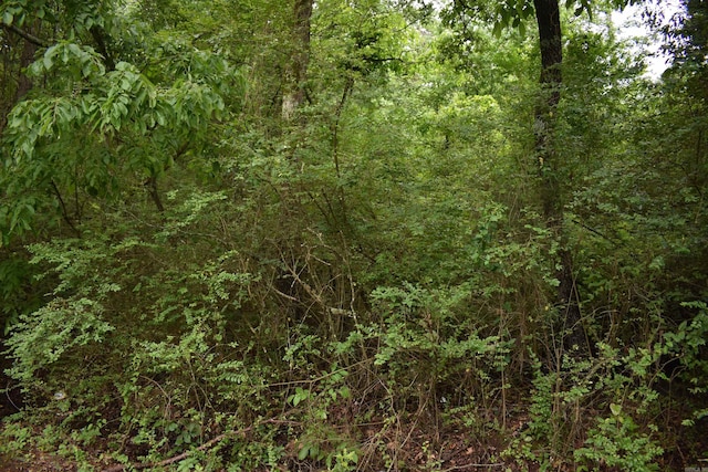 0000 K St, Danville, AR 72833
