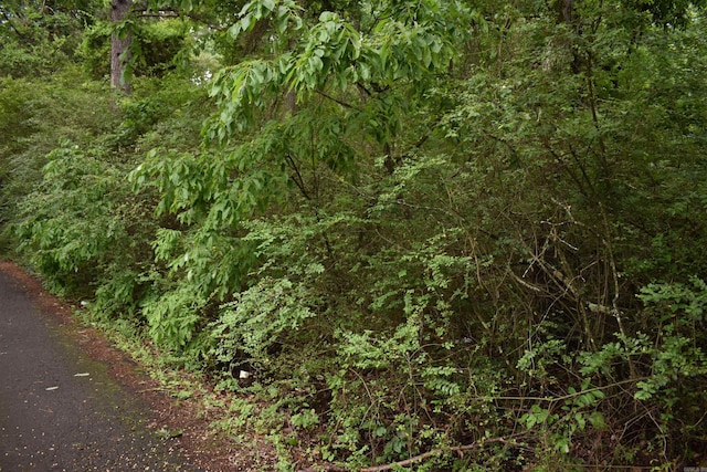 0000 K St, Danville, AR 72833