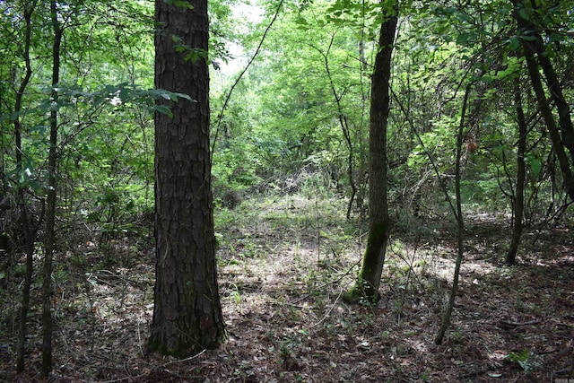 0000 K St, Danville, AR 72833