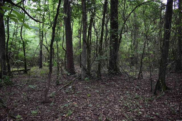 0000 K St, Danville, AR 72833
