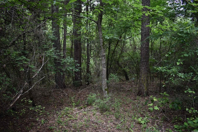 0000 K St, Danville, AR 72833