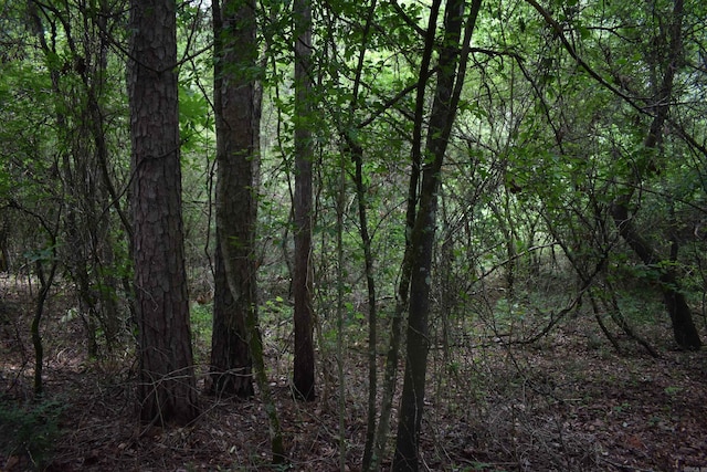 0000 K St, Danville, AR 72833