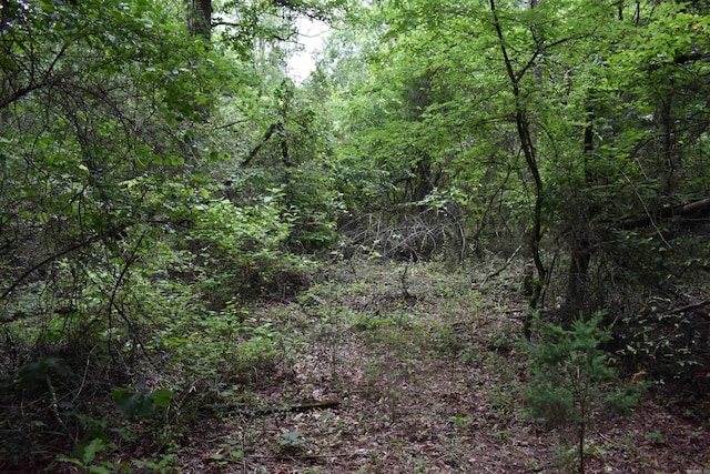 0000 K St, Danville, AR 72833