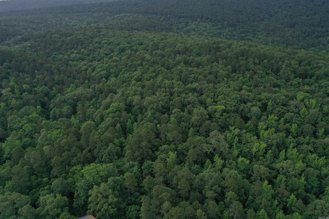 0000 K St, Danville, AR 72833