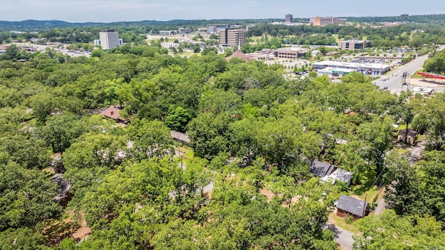 1405 Fair Park Blvd, Little Rock, AR 72204 - aerial view