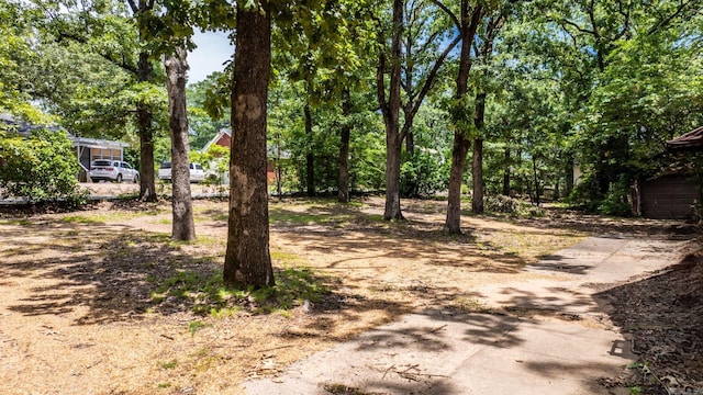 1405 Fair Park Blvd, Little Rock, AR 72204 - view of yard