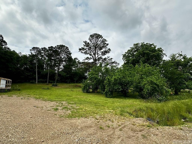 4530 Hwy 8 E, Mena, AR 71953 - view of local wilderness