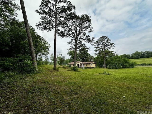 4530 Hwy 8 E, Mena, AR 71953 - view of green lawn