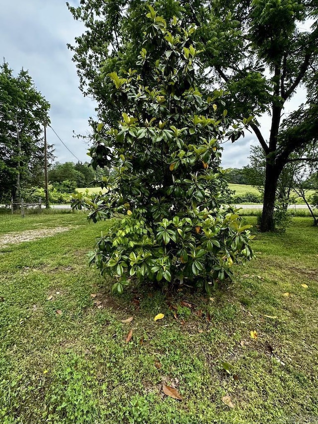 4530 Hwy 8 E, Mena, AR 71953 - view of grassy yard
