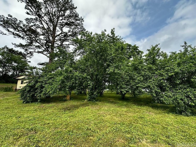 4530 Hwy 8 E, Mena, AR 71953 - view of grassy yard