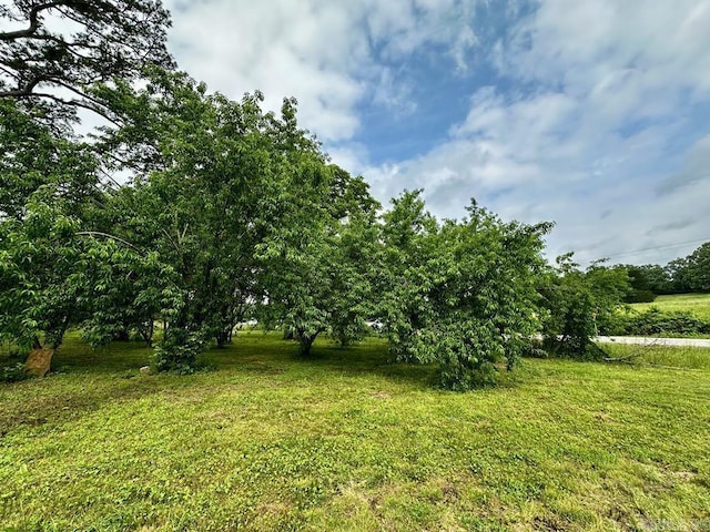 4530 Hwy 8 E, Mena, AR 71953 - view of grassy yard