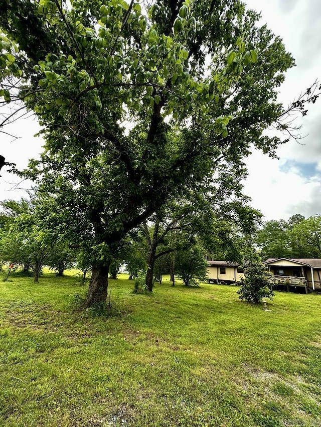 4530 Hwy 8 E, Mena, AR 71953 - view of green lawn