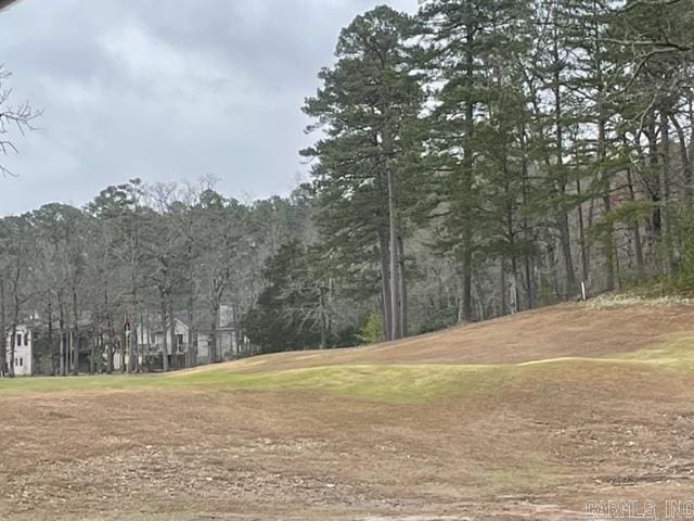 98 Ferdinand Way, Hot Springs Village, AR 71909