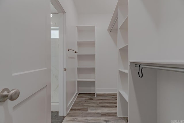 1500 S Church St, Jonesboro, AR 72401 - spacious closet featuring light wood-type flooring