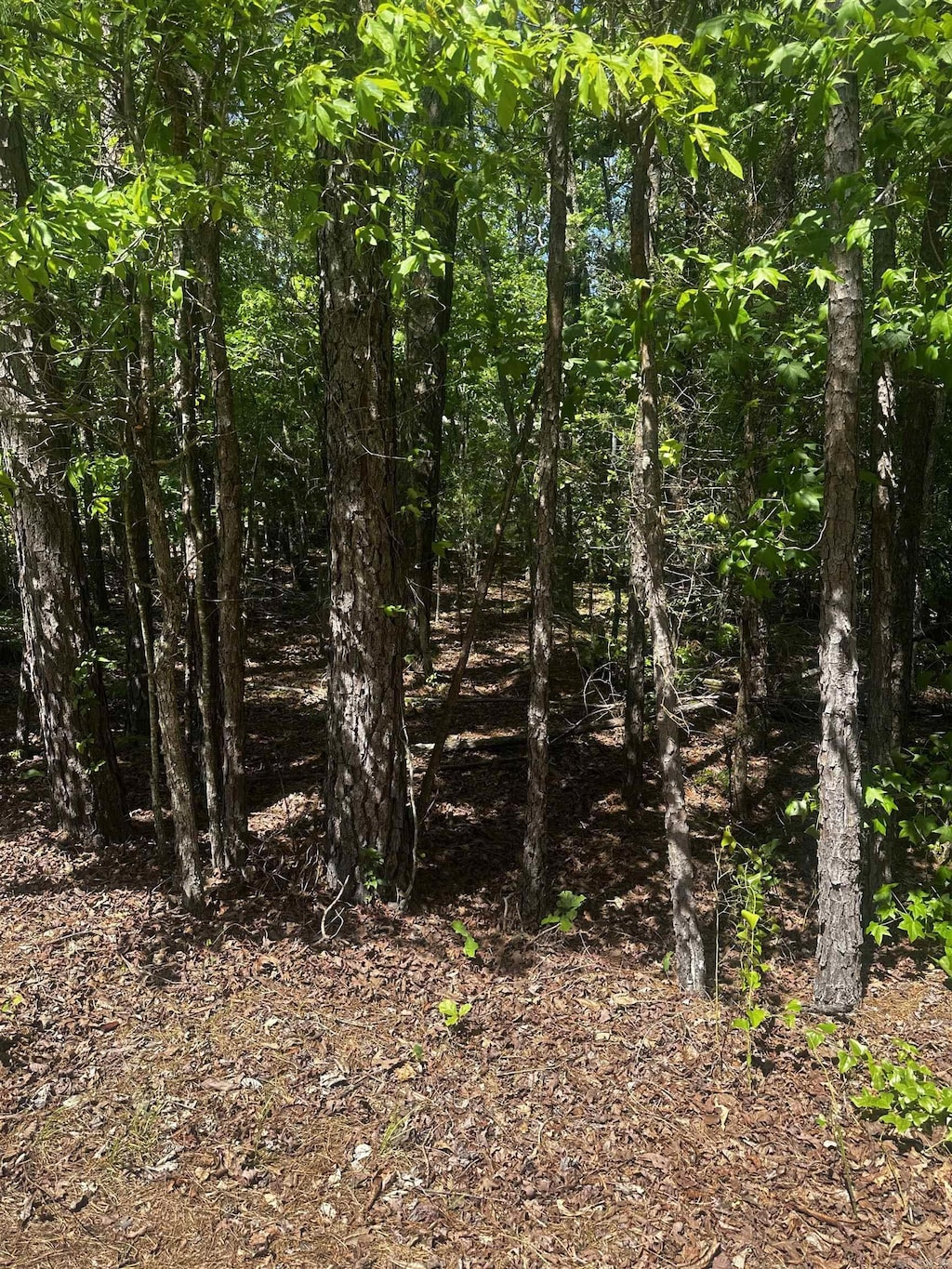 23 Andorra Cir, Hot Springs Village, AR 71909