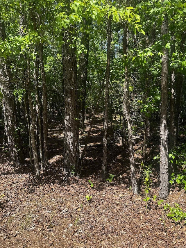 23 Andorra Cir, Hot Springs Village, AR 71909